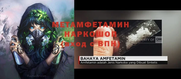 ГАЛЛЮЦИНОГЕННЫЕ ГРИБЫ Белокуриха