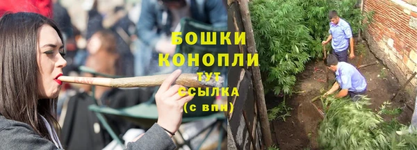 ГАЛЛЮЦИНОГЕННЫЕ ГРИБЫ Белокуриха