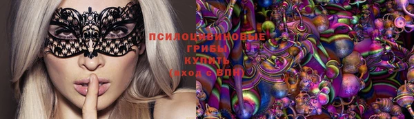 ГАЛЛЮЦИНОГЕННЫЕ ГРИБЫ Белокуриха
