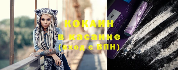 ГАЛЛЮЦИНОГЕННЫЕ ГРИБЫ Белокуриха